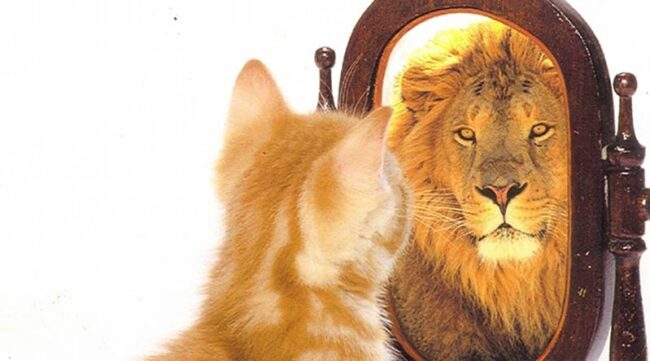 Excesso de Confiança Excesso de Confiança